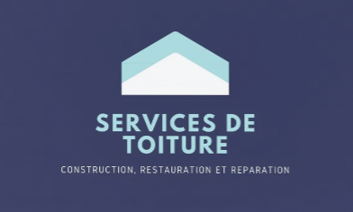Logo Demoussage Toiture